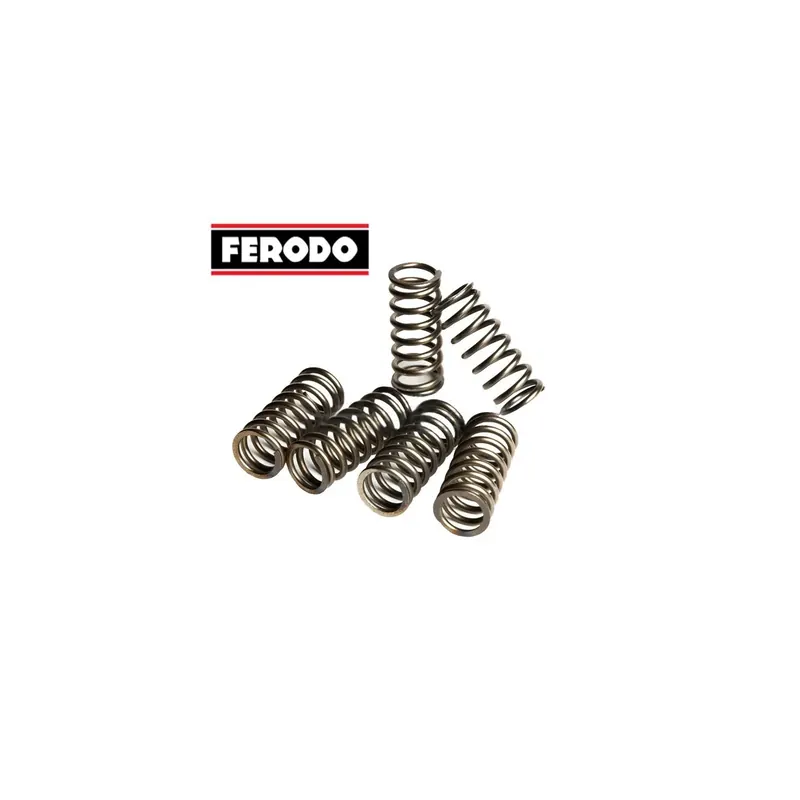 Muelles de embrague Honda Ferodo FSS0113