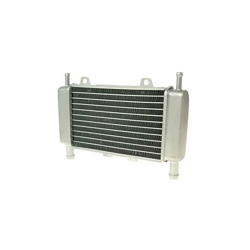 Radiador Piaggio Zip SP / Runner / DNA