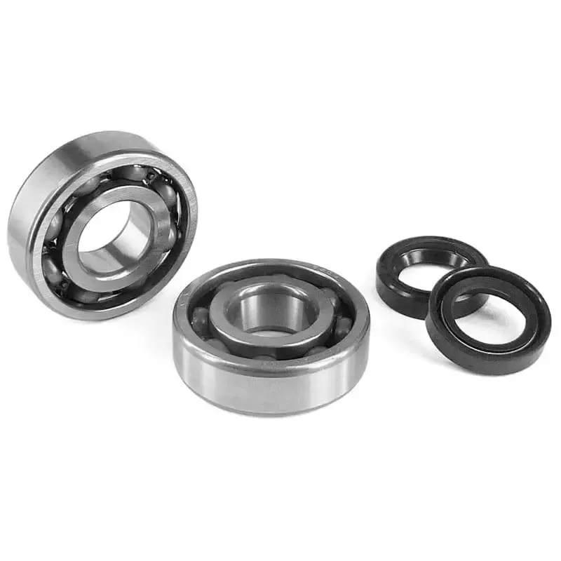 Rodamientos Y Retenes Motor AM6 C3