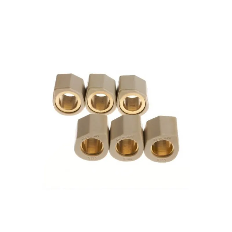 Rodillos de Variador Dr Pulley 20x15