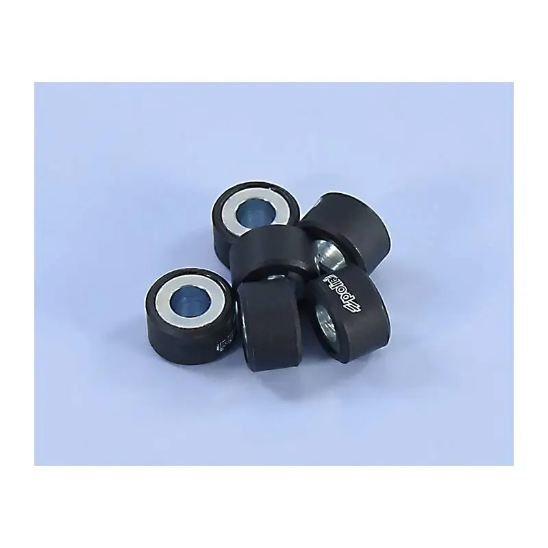 Rodillos Polini 20X12 11g 242.292 (6 UD)