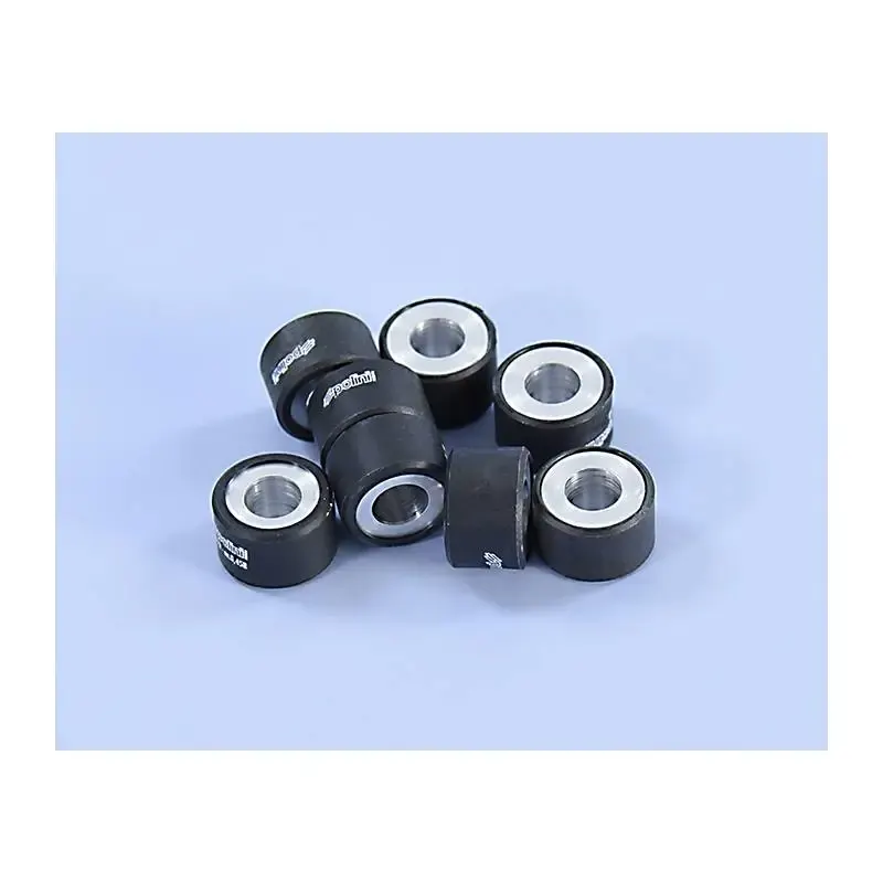 Rodillos Polini 25X16 17g 242.396 (6 UD)