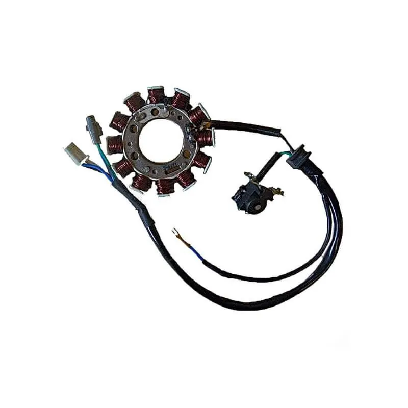 Stator de encendido 12 bobinas Yamaha XT R/X 125 05-06 SGR