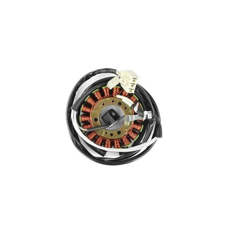 Stator encendido Yamaha T-Max 500 08-11 TNT