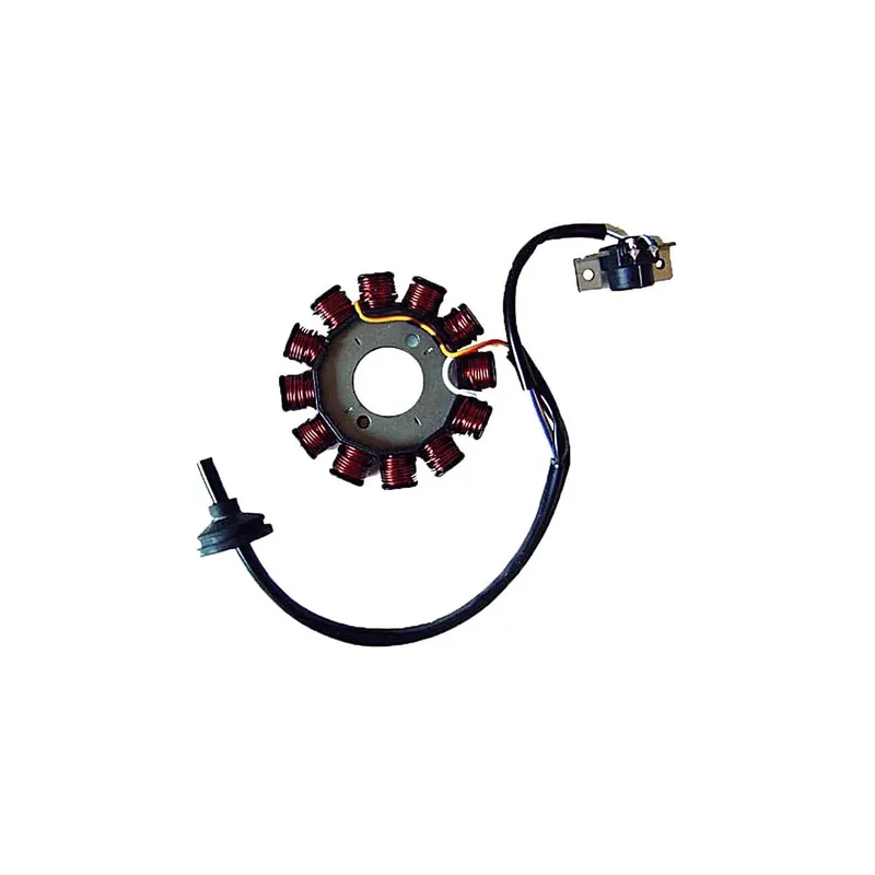 Stator Sgr 12 Polos Con Pick-Up 2 Cables (Motor Ya - 04163072