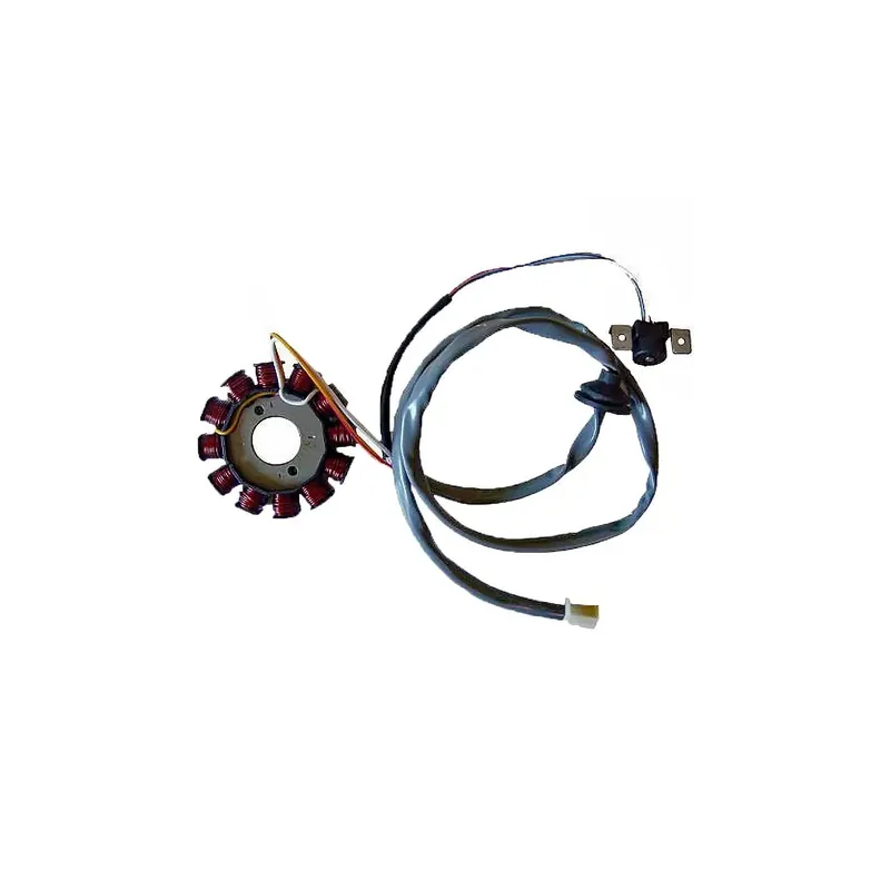 Stator Sgr 12 Polos Con Pick-Up 2 Cables(Motor Yam - 04163073