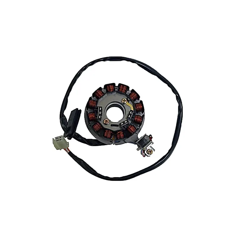 Stator Sgr 12 Polos Con Pick-Up Y Con Soporte (Mot - 04163082
