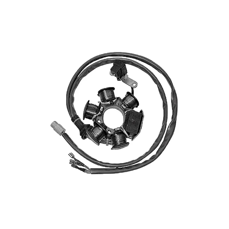 Stator Sgr 6 Polos 12V 90W (Motor Piaggio 50 2T) - 04293499
