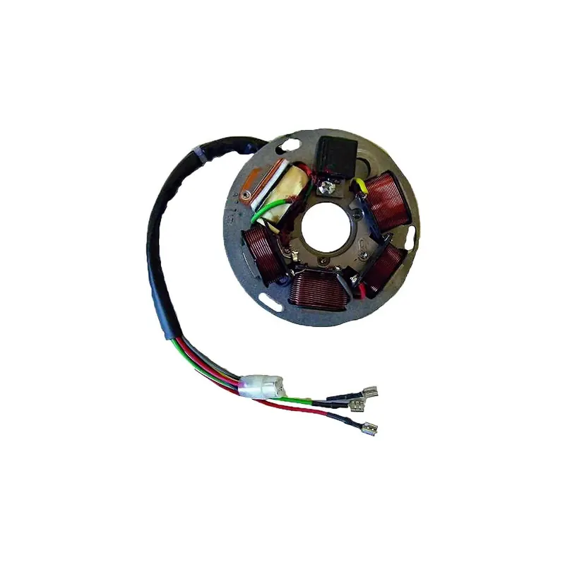Stator Sgr 6 Polos Con Base Piaggio Sin Pick-Up - 04164370