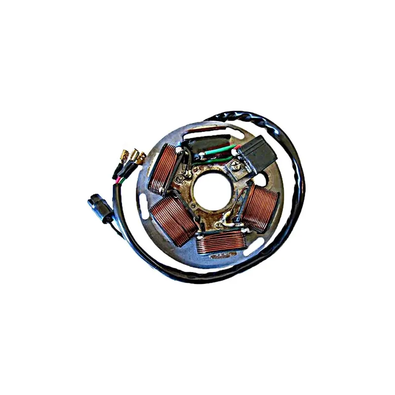 Stator Sgr 6 Polos Con Base Vespa Cosa Sin Pick-Up - 04164371