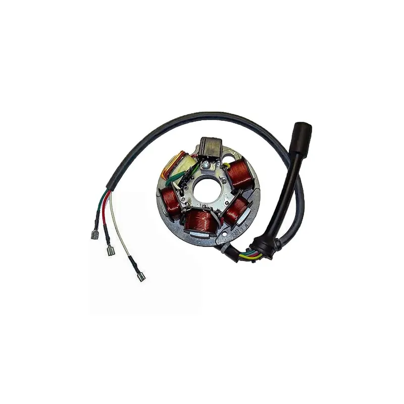 Stator Sgr 6 Polos Piaggio Ape Con Base - 04199500