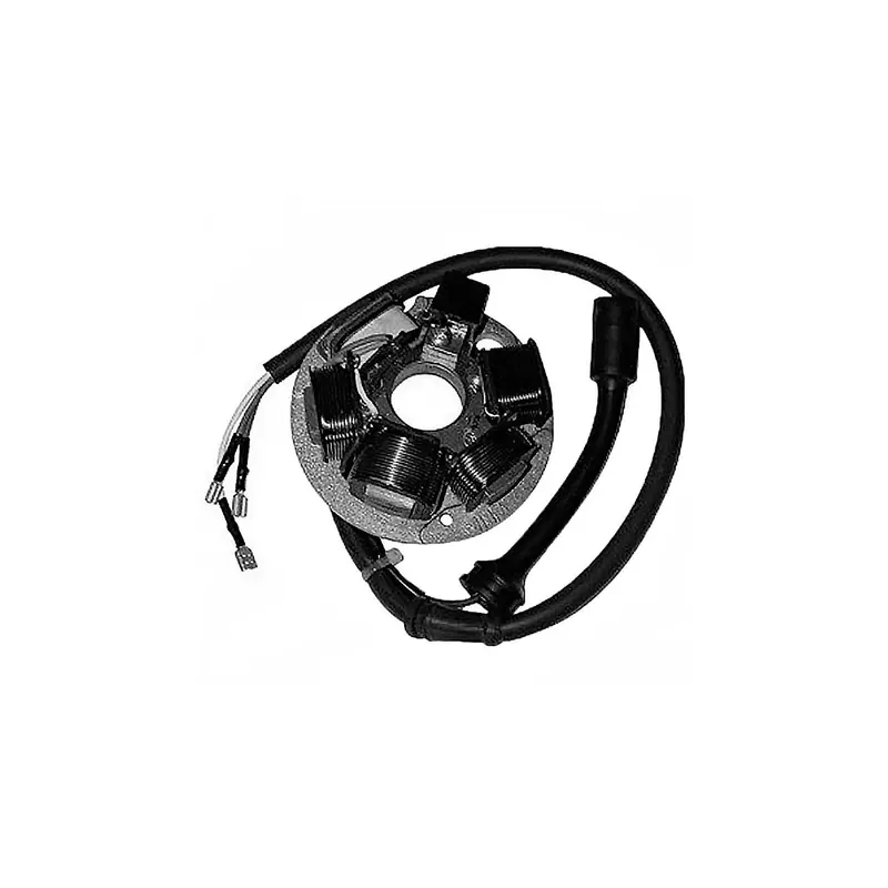 Stator Sgr 6 Polos Vespa Pk - 04199495