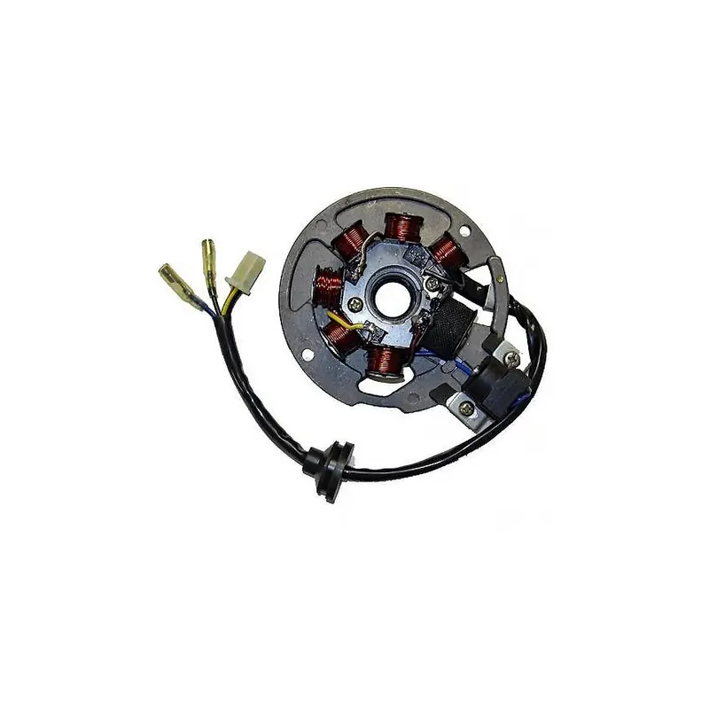 Stator Sgr 7 Polos 12V 95W - 04967910