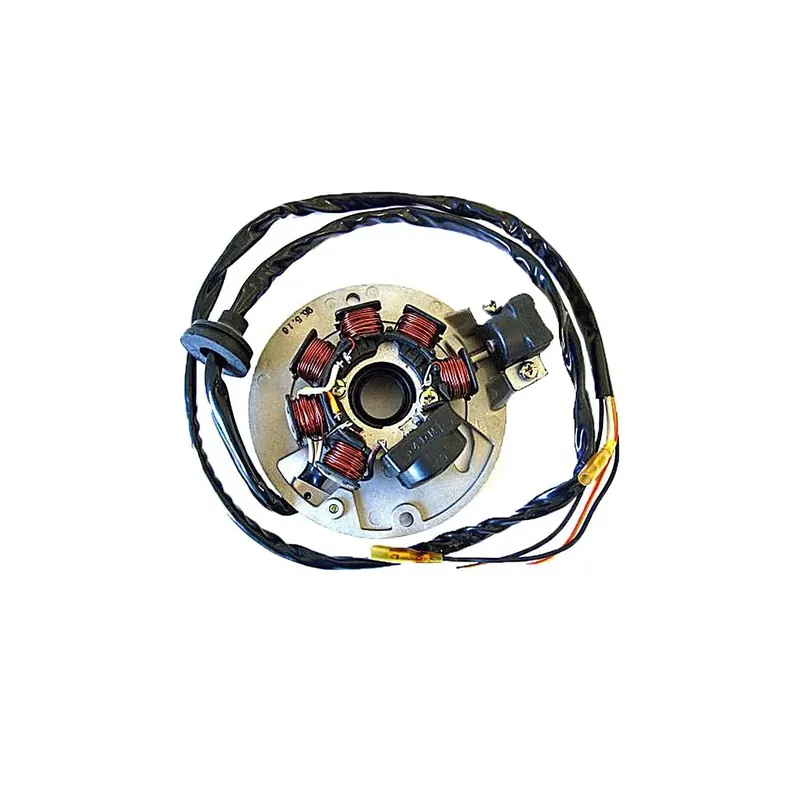 Stator Sgr 7 Polos (Motor Minarelli-Yamaha 50 2T) - 04163055