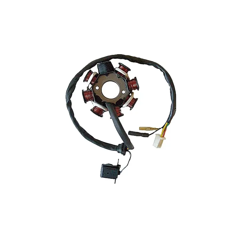 Stator Sgr 8 Polos Con Pick-Up Externo Con Base Y - 04163054