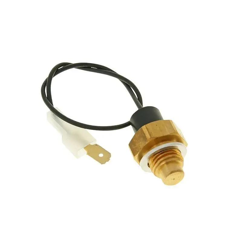 Termorresistencia motor Derbi/Piaggio