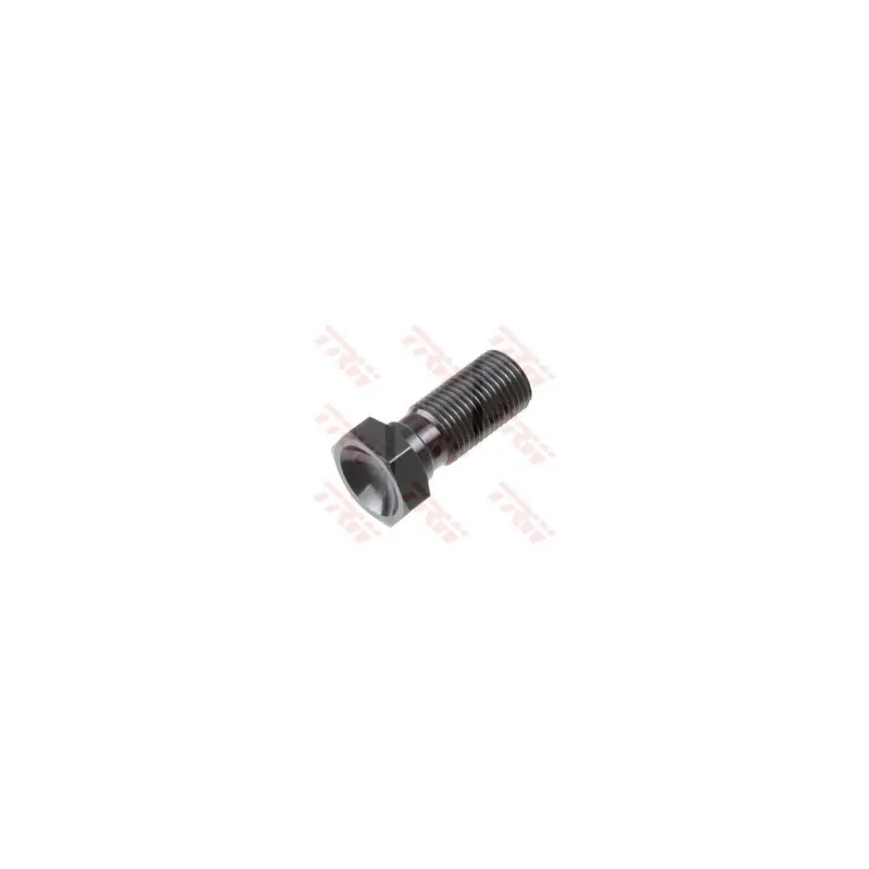 Tornillo banjo corto M10x1.0 TRW MCH921S