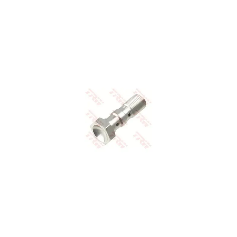 Tornillo banjo doble M10x1.0 Brembo TRW MCH961A