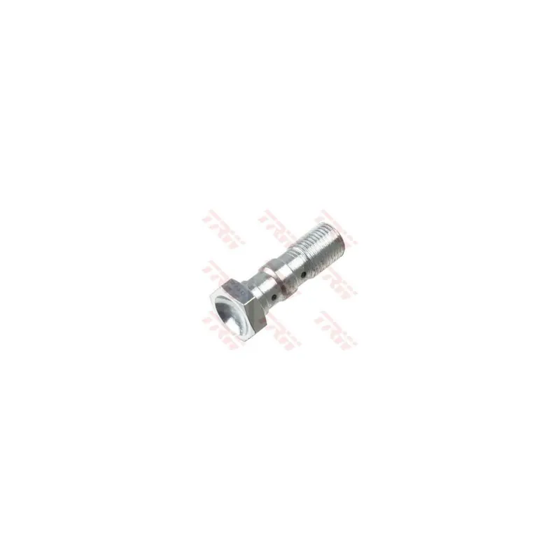 Tornillo banjo doble M10x1.0 Brembo TRW MCH961C