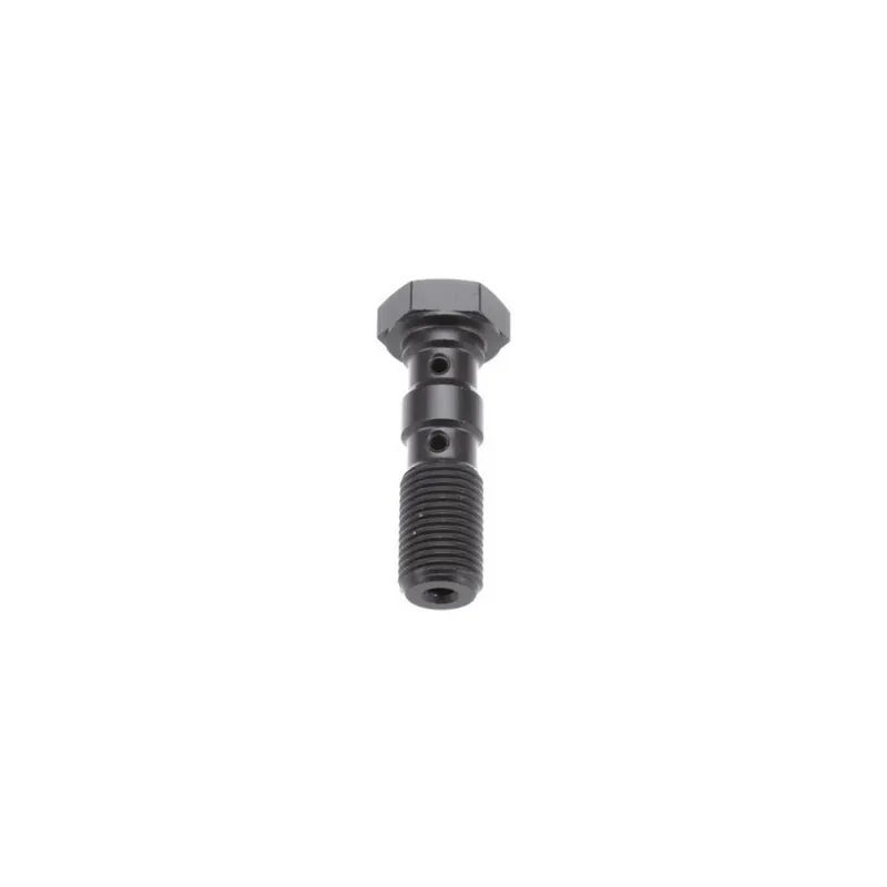 Tornillo banjo doble M10x1.0 Brembo TRW MCH961T