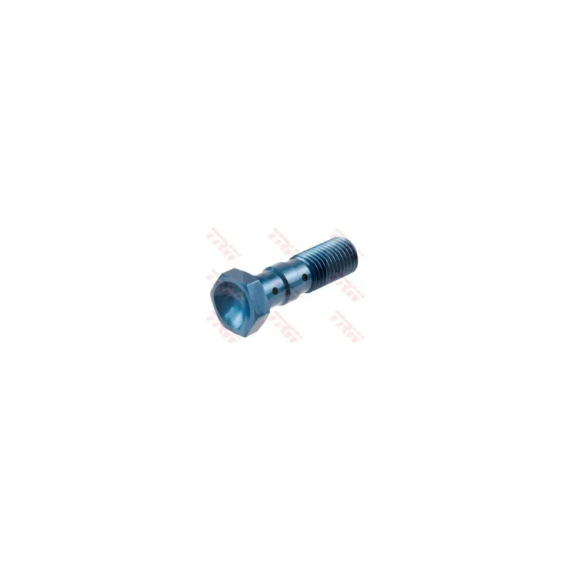 Tornillo banjo doble M10x1.25 TRW MCH951B