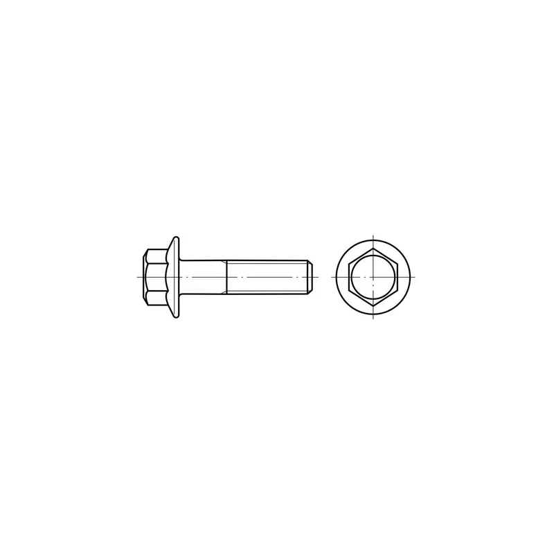 Tornillo de brida hexagonal M6×100, Zairon Zs2