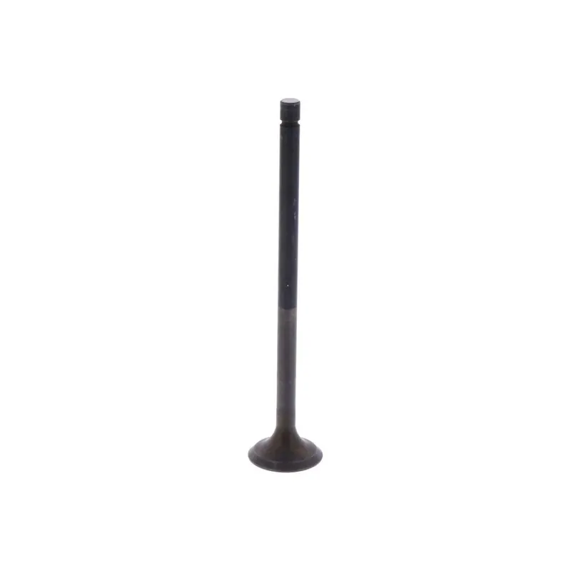 Valvula de escape Piaggio Original 873840