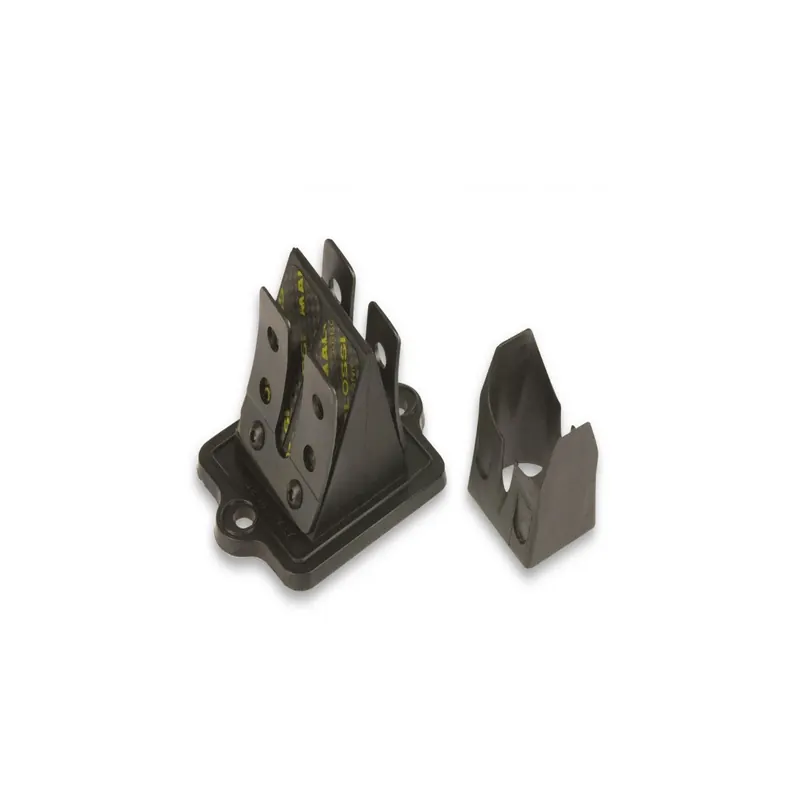 Valvula laminas carbono Malossi piaggio 27 7708.C0