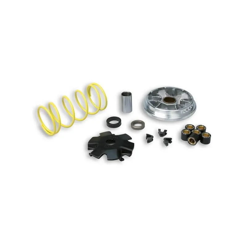 Variador Derbi Predator 50 2T Malossi Multivar