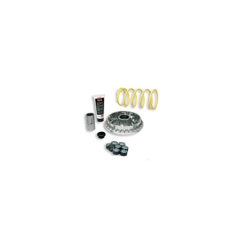 Variador Malossi Multivar 2000 para Benelli, Suzuki Burgman 400 5114258