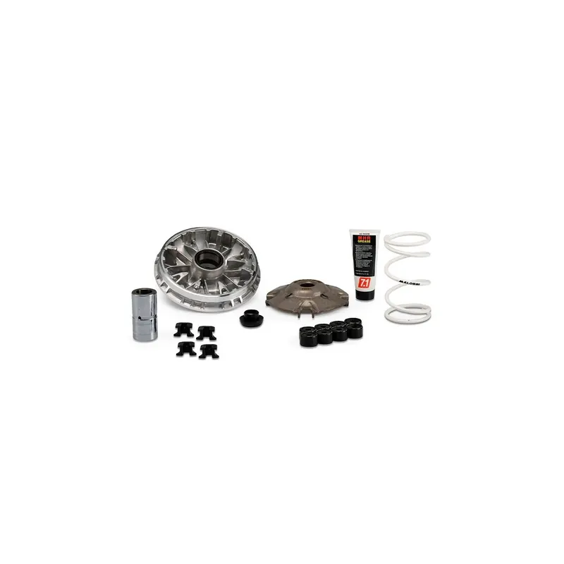 Variador Malossi Multivar 2000 para Honda SH, Forza 350 IE 5118980