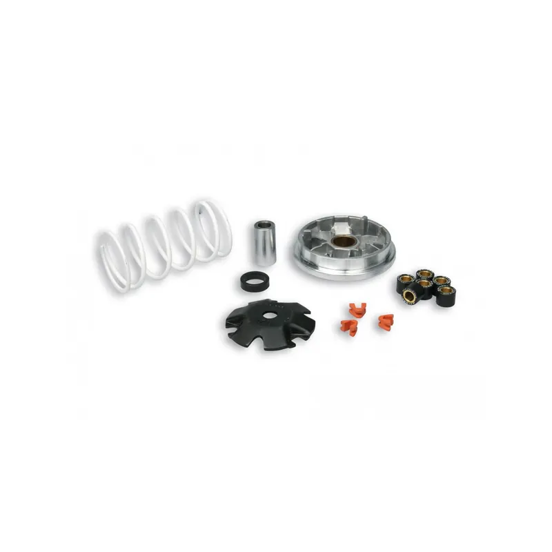 Variador Malossi Multivar 2000 para Peugeot Buxy, Zenith, Speed 51 8752