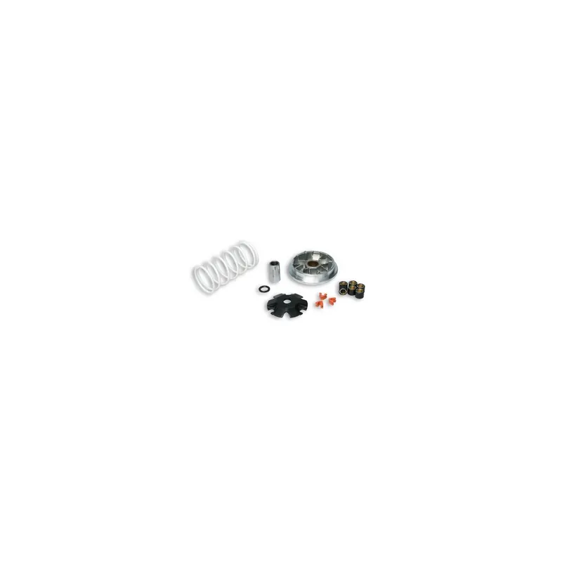 Variador Malossi Multivar 2000 para Scooter 50 4T 5114206