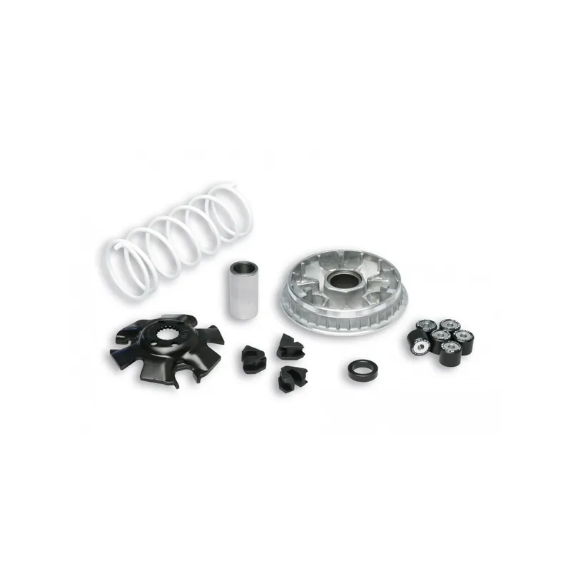 Variador Malossi Multivar 2000 para Suzuki Epicuro 125, 150cc 5111324