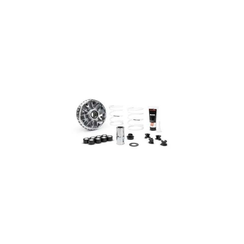 Variador Malossi Multivar Piaggio Beverly 5120424