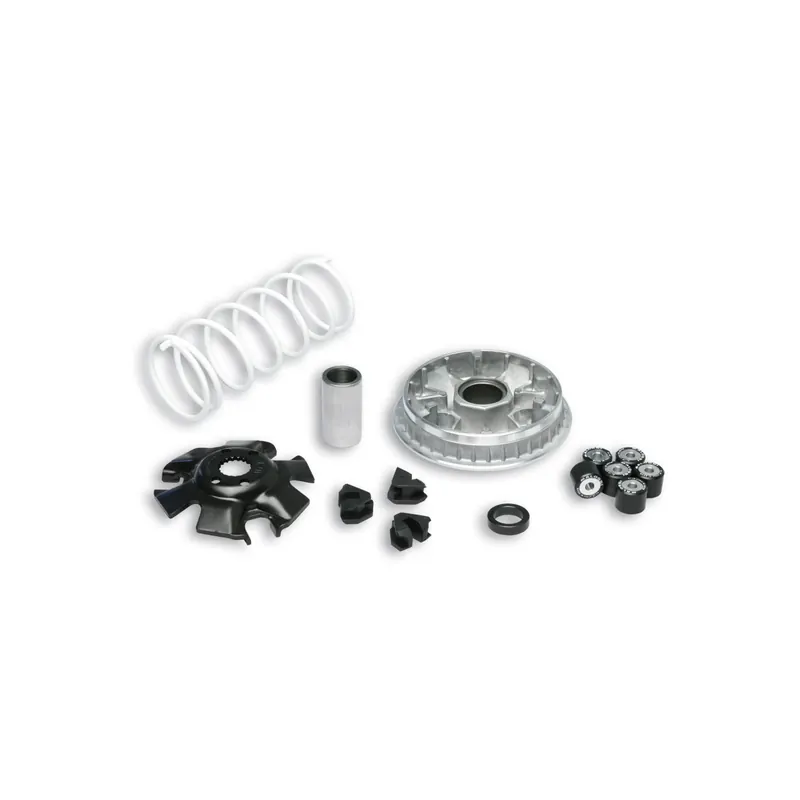 Variador Multivar 2000 Epicuro125. 150 5111324
