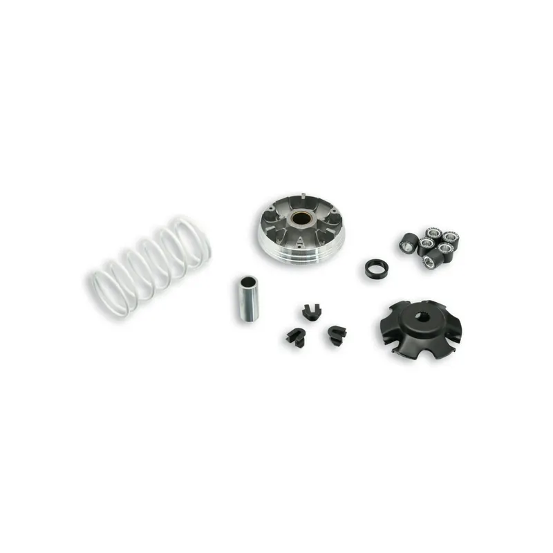 Variador Multivar 2000 Liberty 4 T. Zip 4 T 5111597