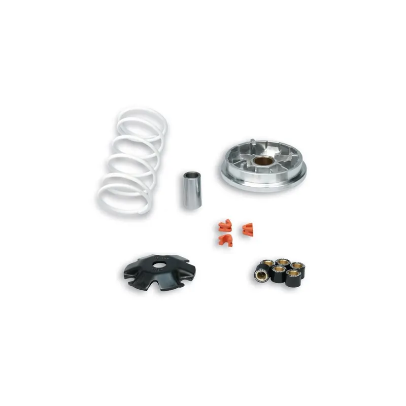 Variador Multivar 2000 Malossi para Honda 50 IE 4T 5115209