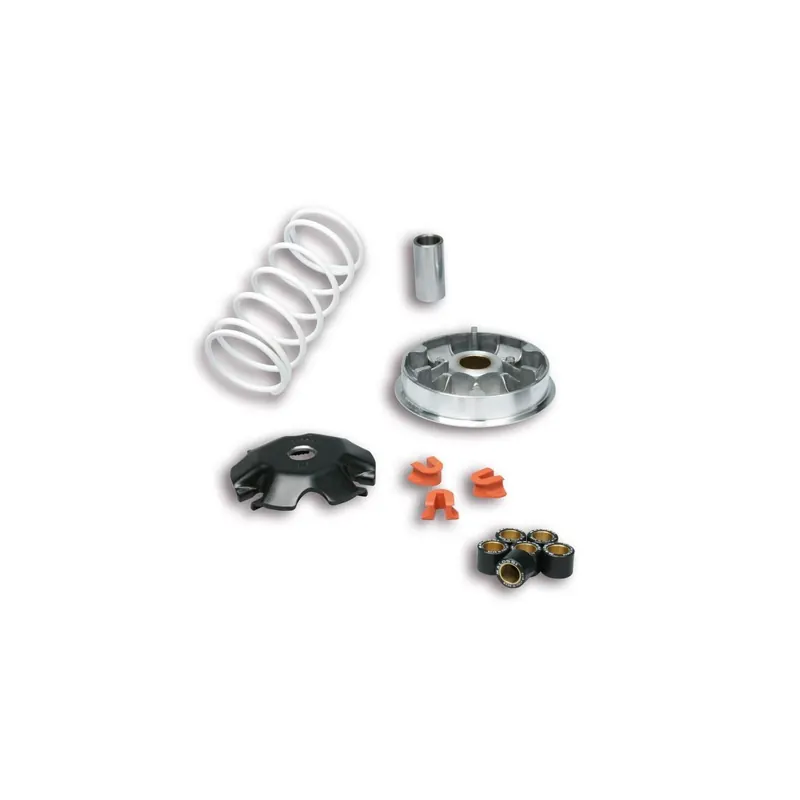 Variador Multivar 2000 Malossi para Honda Lead 110 4 5117717