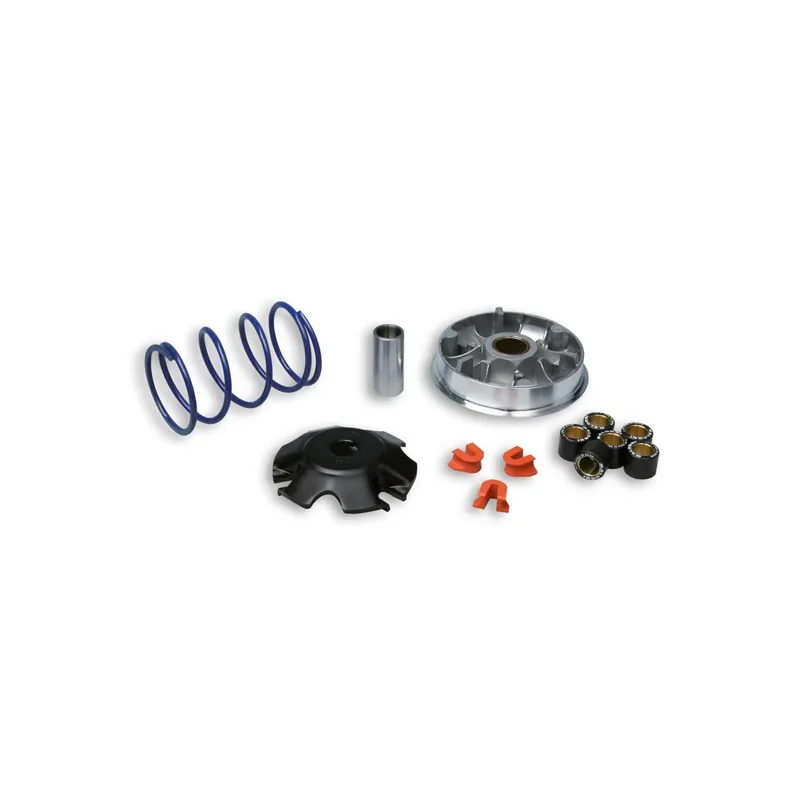 Variador Multivar 2000 Speedfight 100 C Catalizado 5111558
