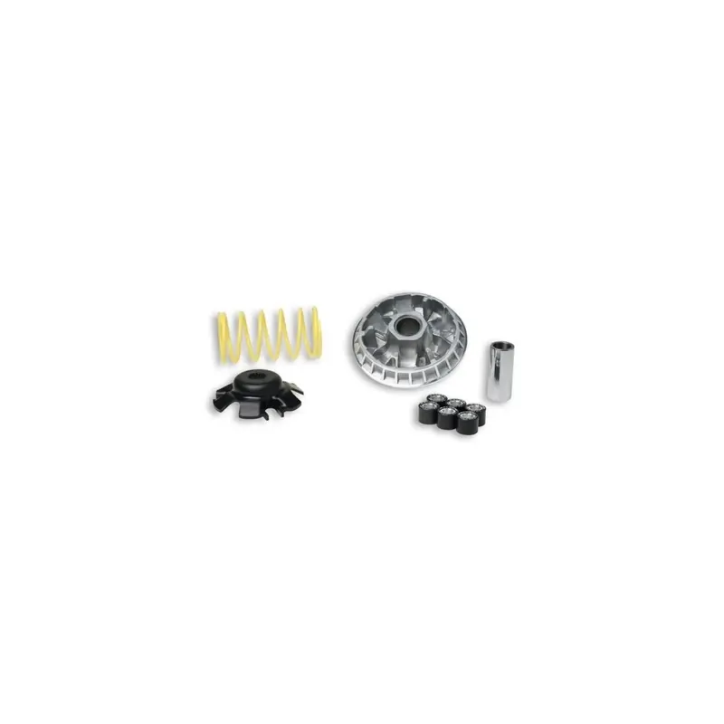 Variador Multivar Malossi 2000 5113393