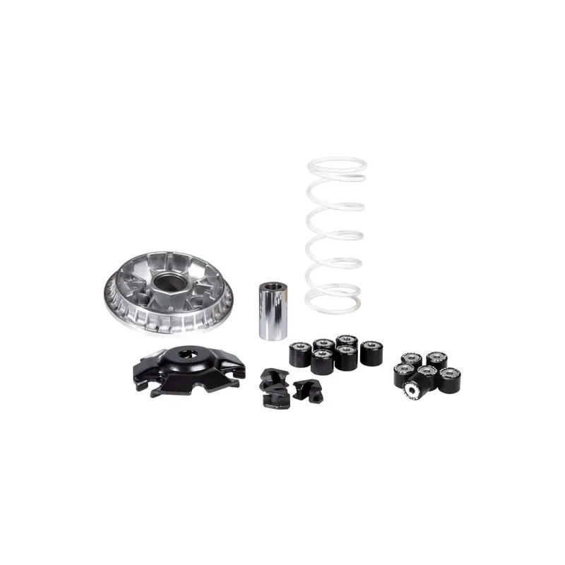Variador Multivar Malossi Honda Sh 125 Euro 5 5118776