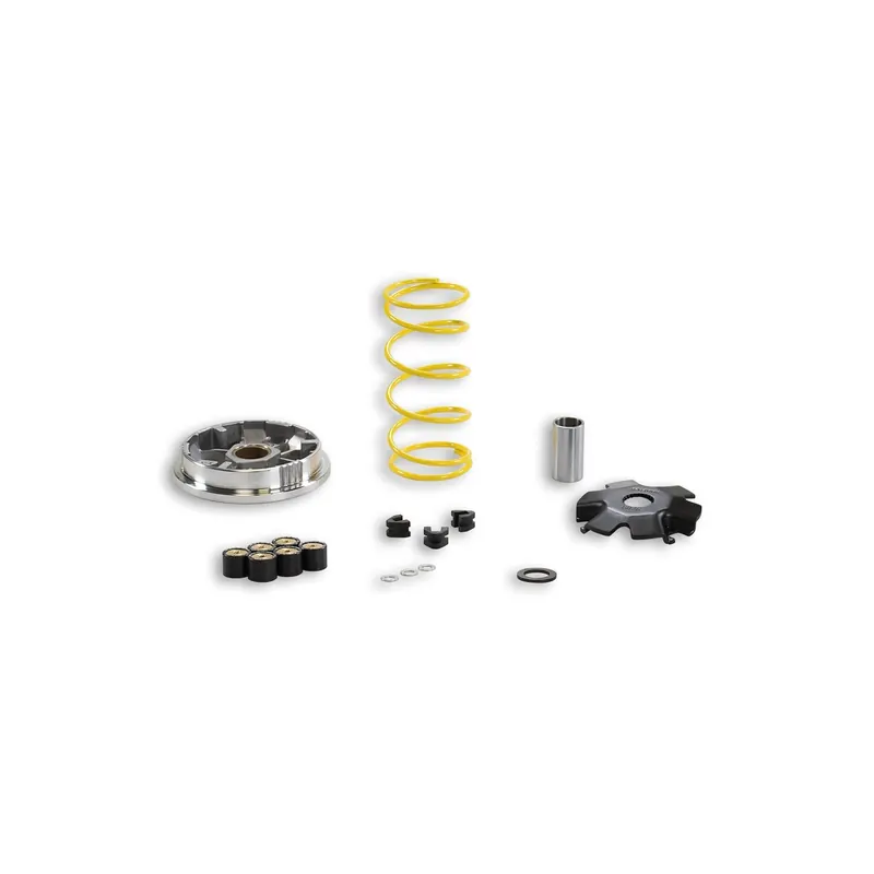 Variador Multivar Suzuki Address 100 5112026