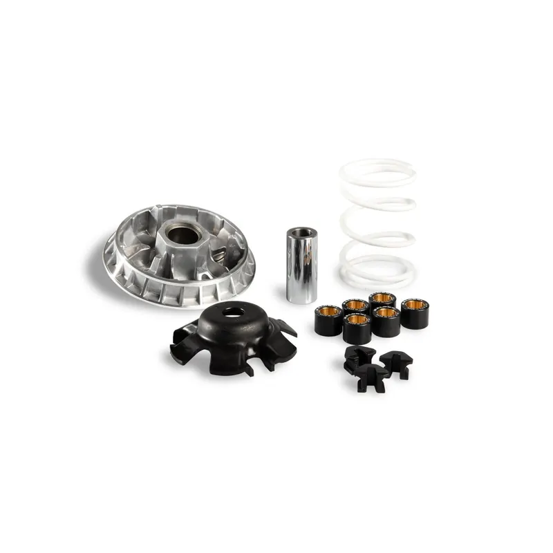 Variador Multivar Sym Joymax 250 . Citycom 300 5113597