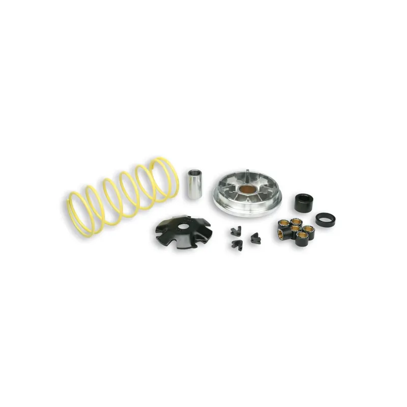 Variador Multivar Vespa Zip 50 517081