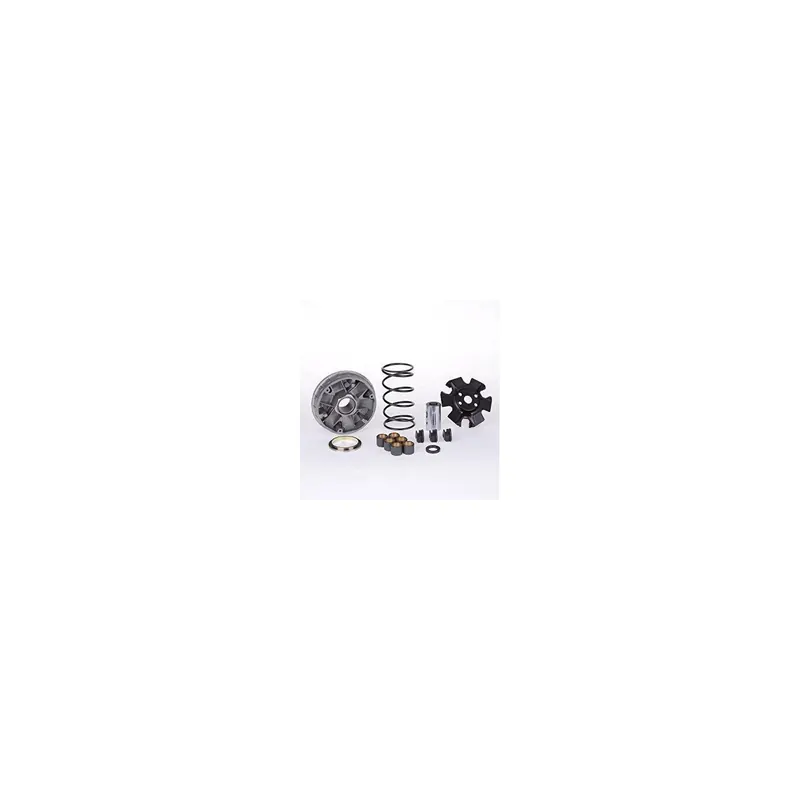 Variador Pinasco Kymco People 125 - SP10261317
