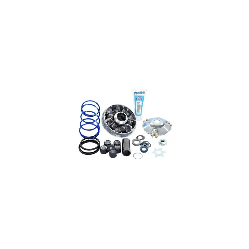 Variador Polini Hi-Speed Evolution 2 D.13 para motor Miralleli 241.752