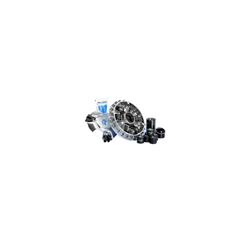 Variador Polini Hi-Speed Piaggio 200/250/300 Ref. 241.645