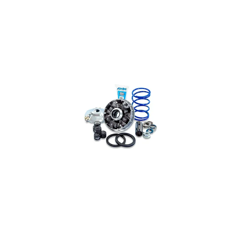 Variador Polini HI-Speed Piaggio Vespa 4T 3V 241766