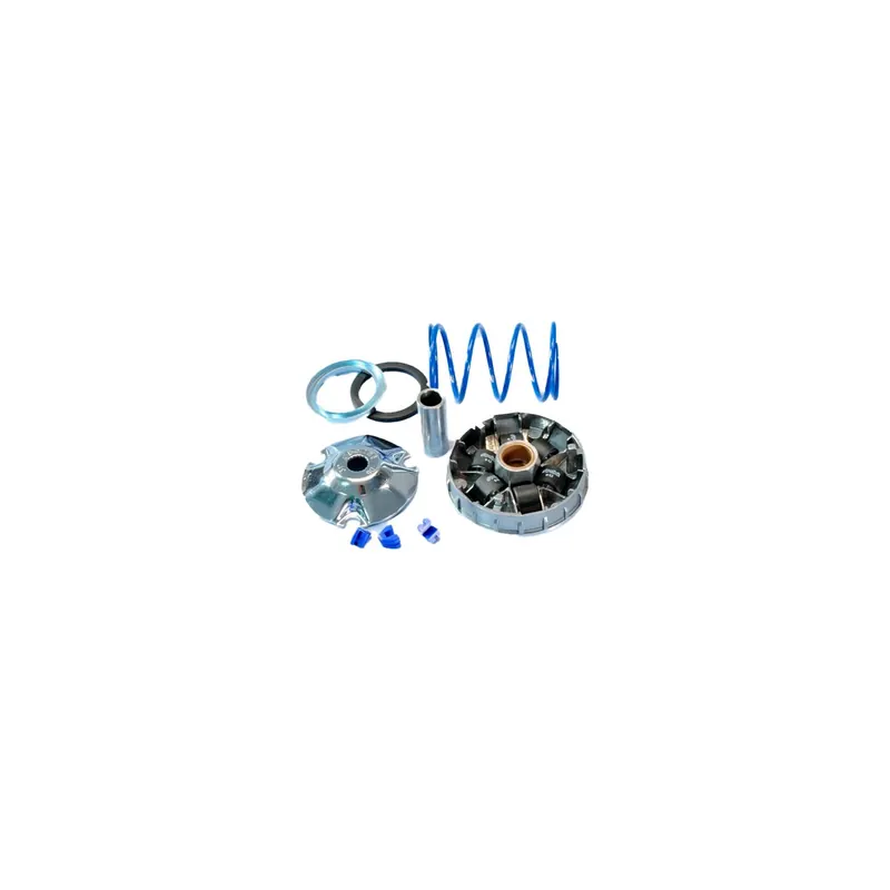 Variador Polini Hi-Speed Piaggio Zip y Quartz 241.672